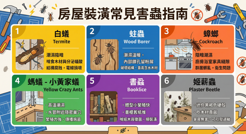在房屋裝潢時，可能遇到哪些害蟲？