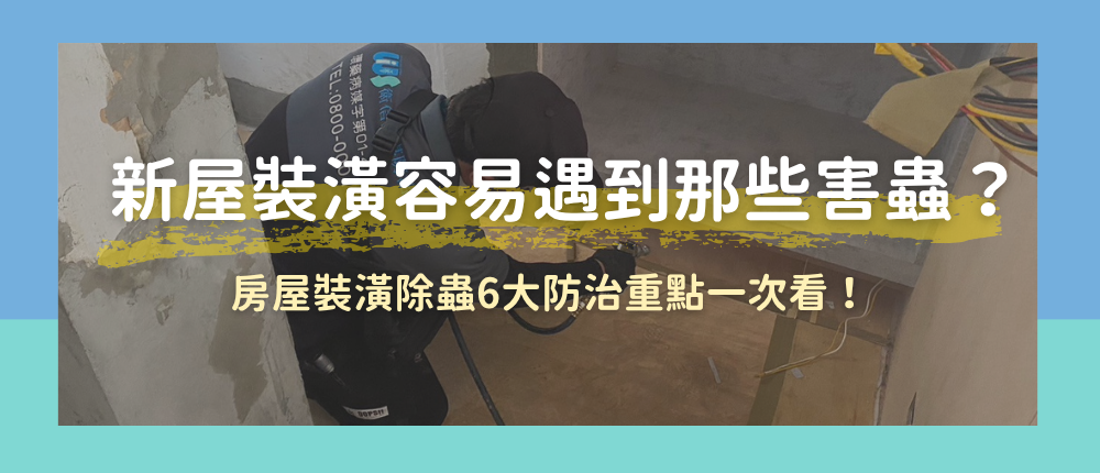 新屋裝潢容易遇到那些害蟲？房屋裝潢除蟲6大防治重點一次看！