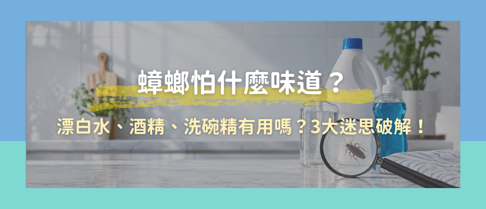 蟑螂怕什麼味道？漂白水、酒精、洗碗精有用嗎？3大迷思破解！